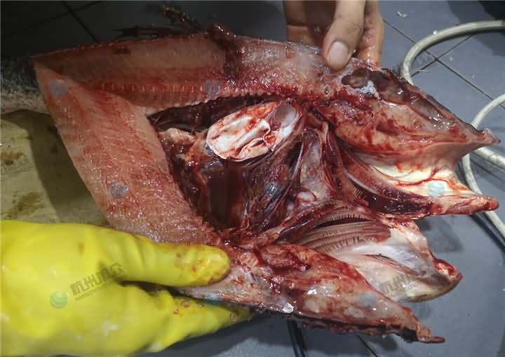 5e1a7d1f12f69.jpg QQ圖片20200112095345.jpg